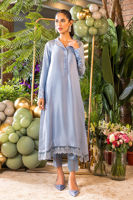 Picture of Stargazer