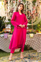 Picture of Cactus Flower