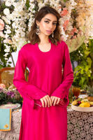 Picture of Cactus Flower