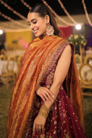 Picture of Iqra Aziz in Zeb