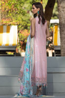 Picture of Thai Rose