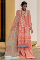 Picture of Gladiolus