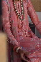 Picture of Gladiolus