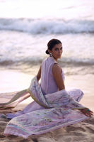 Picture of Siam Tulip