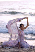 Picture of Siam Tulip