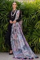 Picture of Calla Lily