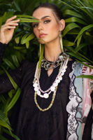 Picture of Calla Lily