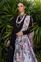 Picture of Calla Lily