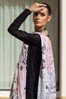 Picture of Calla Lily