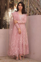 Picture of Enchanted Rose