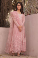 Picture of Enchanted Rose