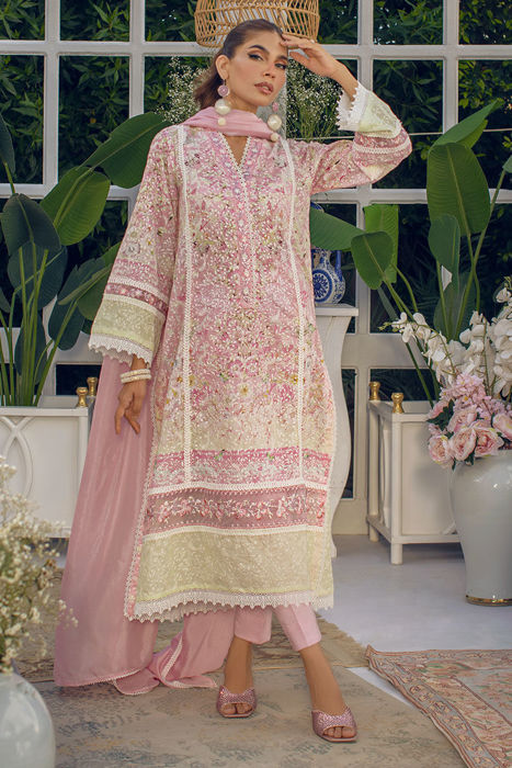 Picture of Lacy Rose