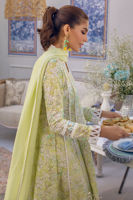 Picture of Citronella Swirl