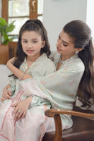 Picture of Pastel Paisley