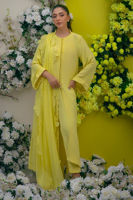 Picture of Sunny Citrus