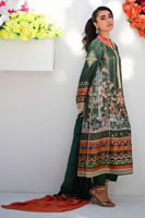 Picture of Anastasia