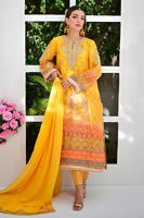 Picture of Oriana pants only