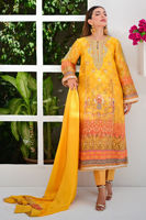 Picture of Oriana pants only