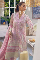 Picture of Lacy Rose