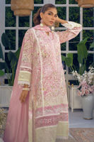 Picture of Lacy Rose