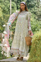 Picture of Anthurium