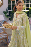 Picture of Citronella Swirl