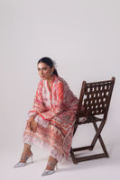 Picture of Liliana Shirt and Dupatta
