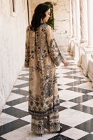 Picture of Daylilies