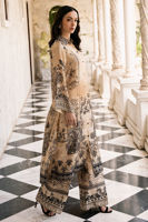 Picture of Daylilies