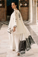 Picture of Snowstorm