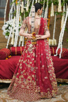 Picture of Qurat Ul Ain