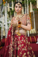 Picture of Qurat Ul Ain