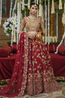 Picture of Qurat Ul Ain