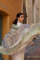 Picture of Baby’s Breath