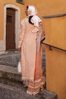 Picture of Alluring Apricot