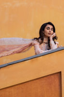 Picture of Alluring Apricot