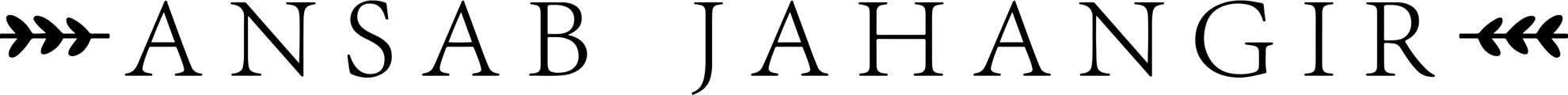 Ansab Jahangir Studio Ansab Jahangir Studio