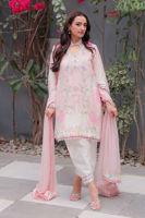 Picture of Mirabella Shirt and Dupatta