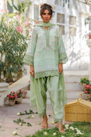 Picture of Evie Shirt and Dupatta
