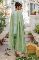 Picture of Evie Shirt and Dupatta