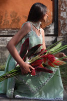 Picture of Marjorie Shirt and Dupatta